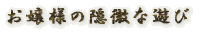 ����l�̉B���ȗV�� 